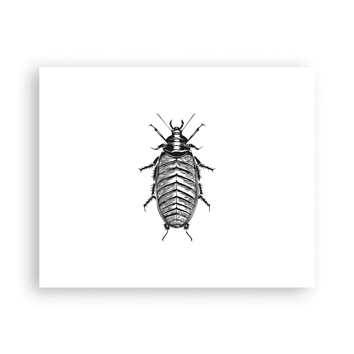 Poszter - Micsoda példány! - 50x40 cm