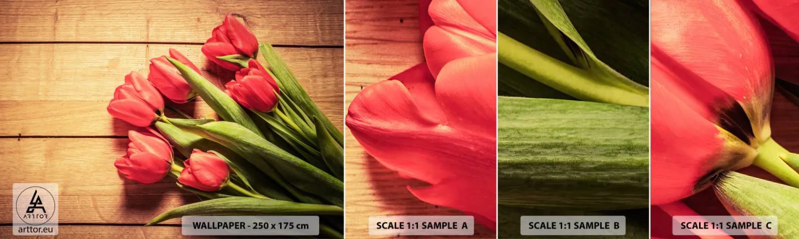 Fotótapéta Minta Standard Eco - Tavaszi vallomás - Virágok, Tulipánok, Csokor virág - 100x30 cm