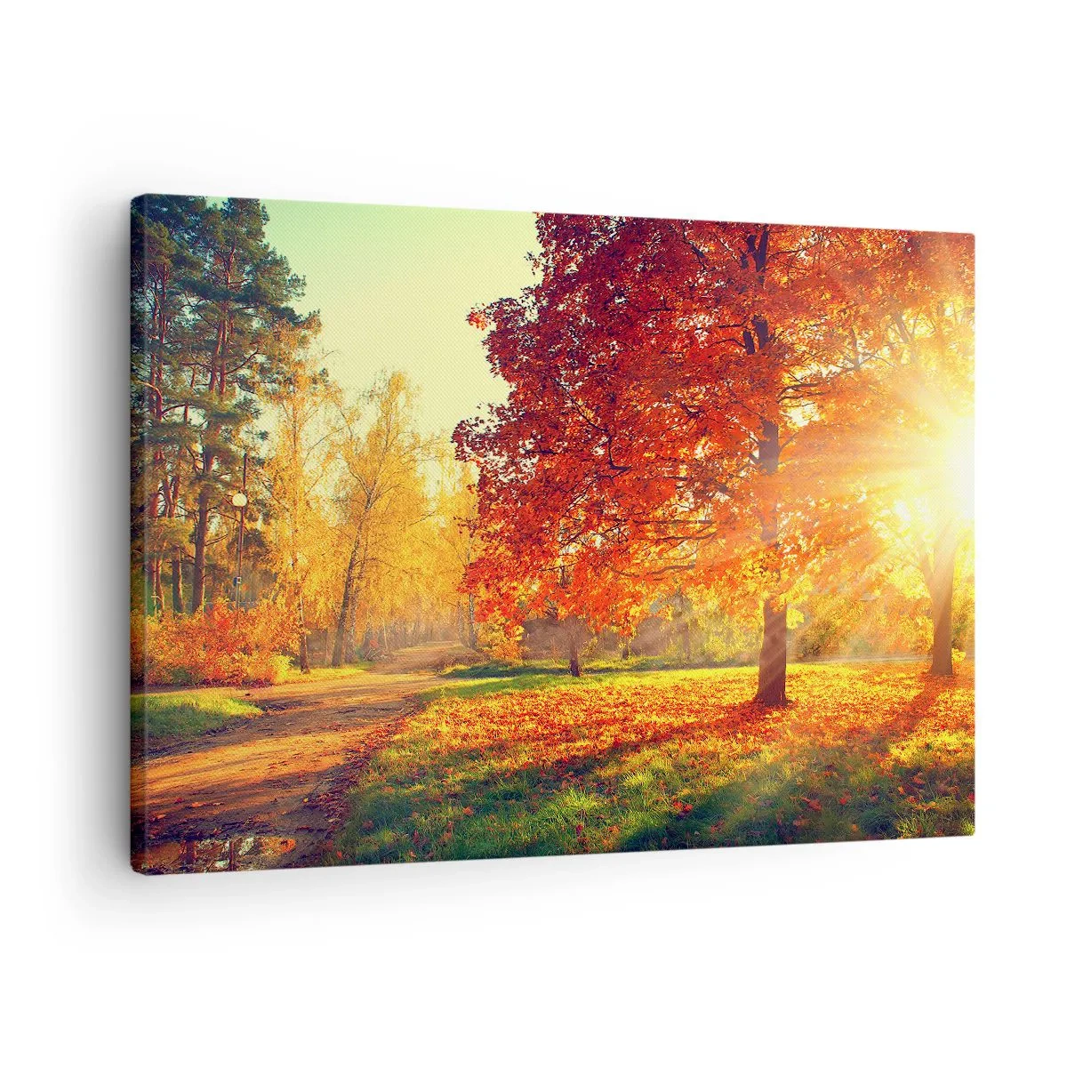 Vászonkép - A vörös gyönyörű - 70x50 cm