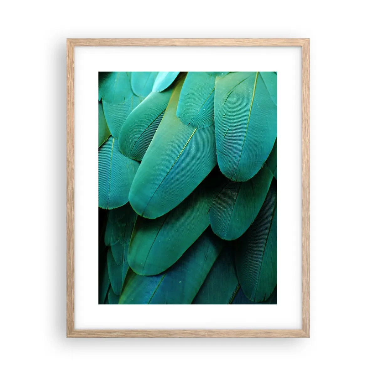 Poszter világos tölgy keretben - A papagájtermészet precizitása - 40x50 cm