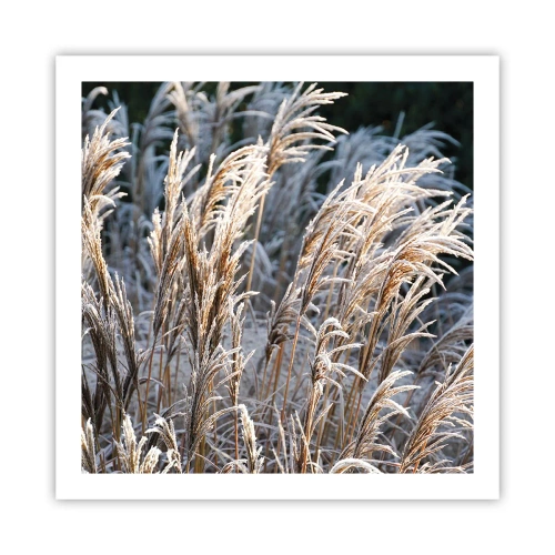 Poszter - Zúzmarába öltözött - 60x60 cm