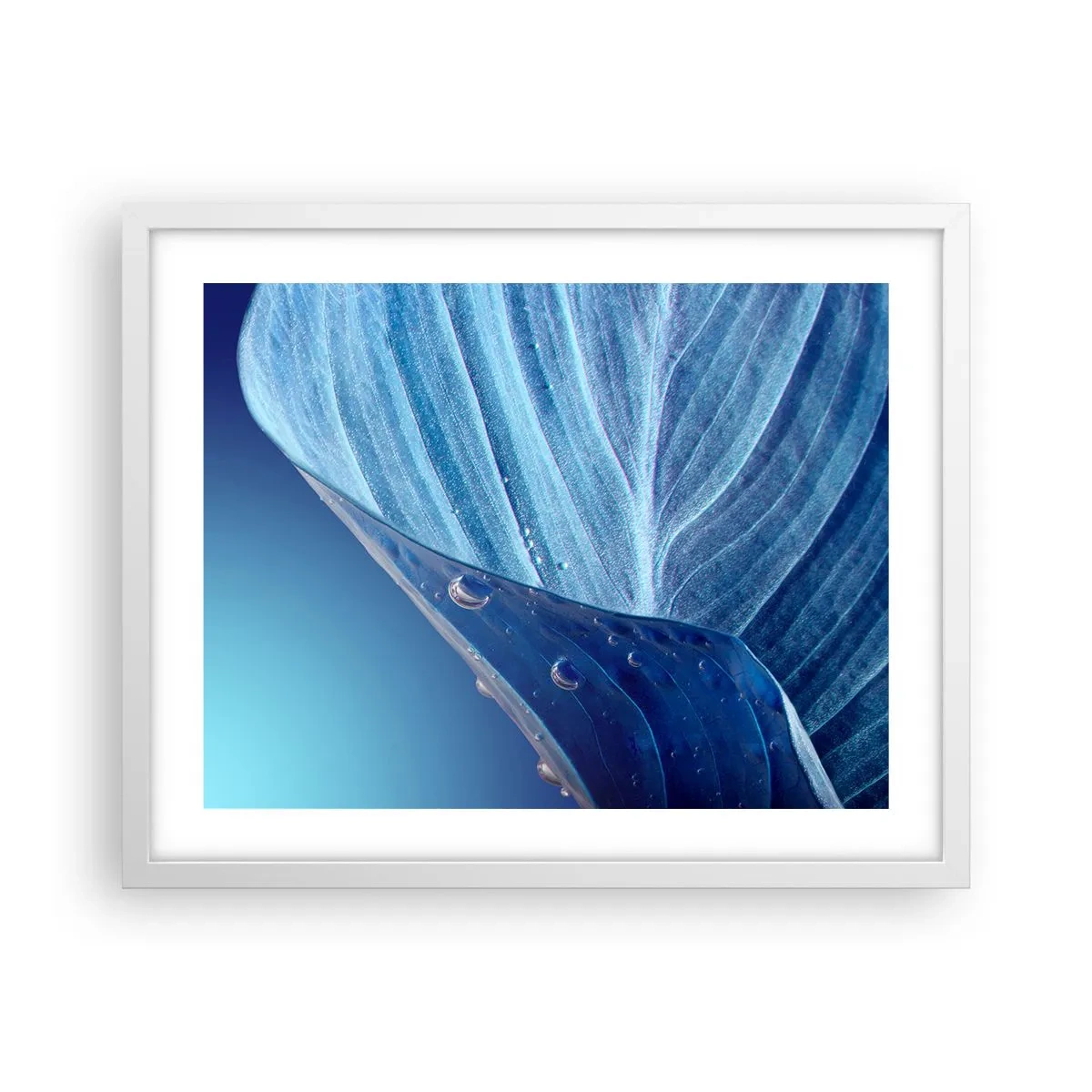 Poszter fekete keretben - A kék rejtett cseppjei - 50x40 cm