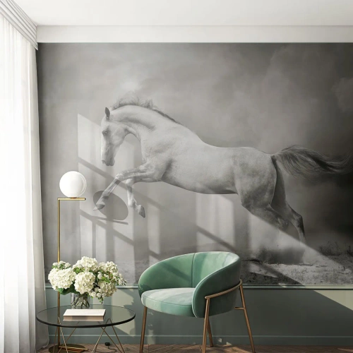 Öntapadós Fotótapéta Deluxe Sticker - Ébredés és alvás között - Állatok, Ló, Természet - 400x280 cm