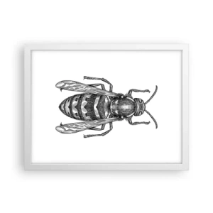 Poszter fekete keretben - Egy rovar bolygóról - 40x30 cm