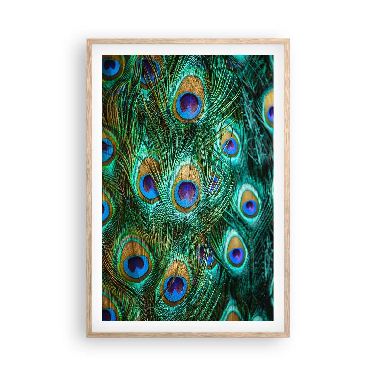 Poszter világos tölgy keretben - Pávaszemű pillantás - 61x91 cm