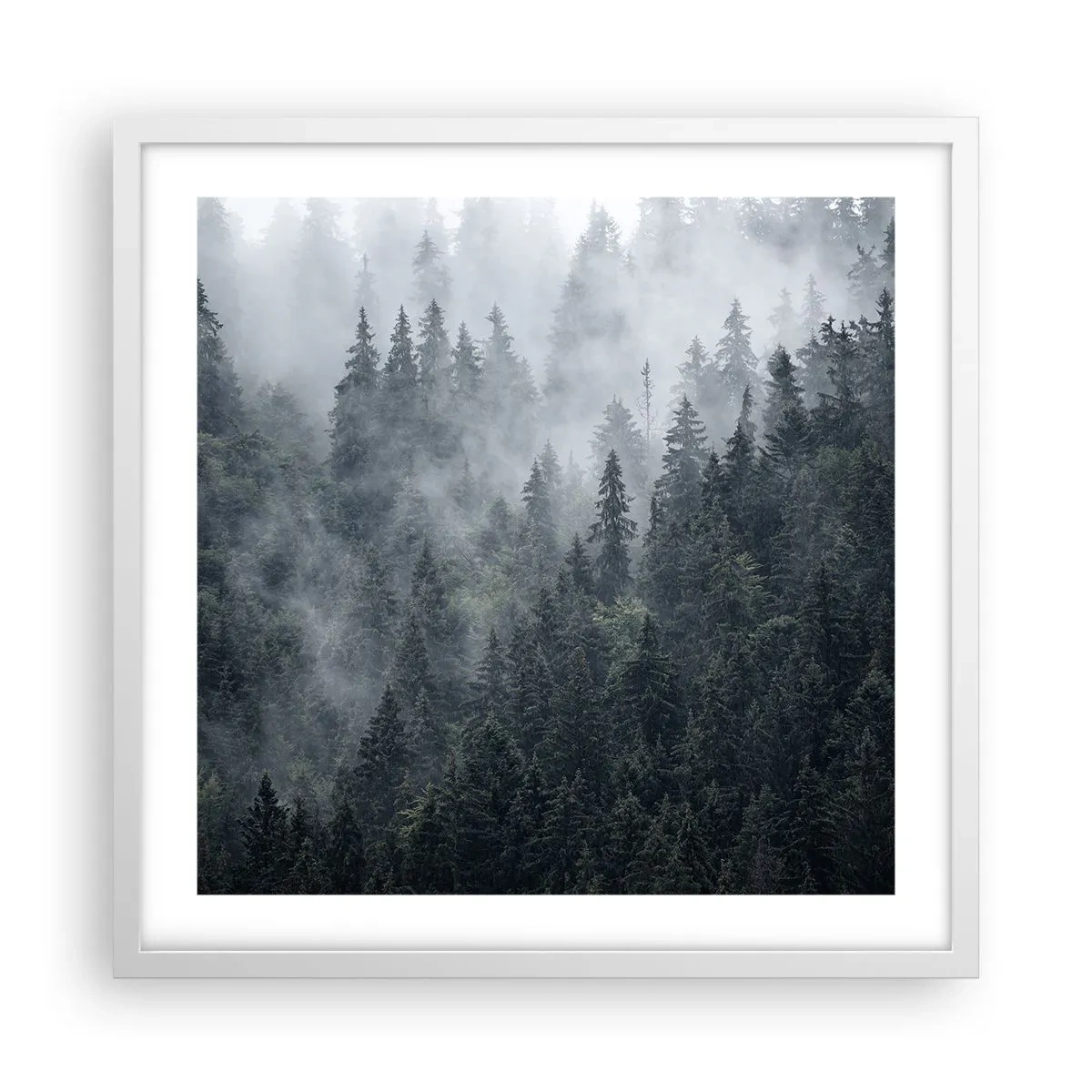 Poszter fekete keretben - Erdei hajnal - 50x50 cm