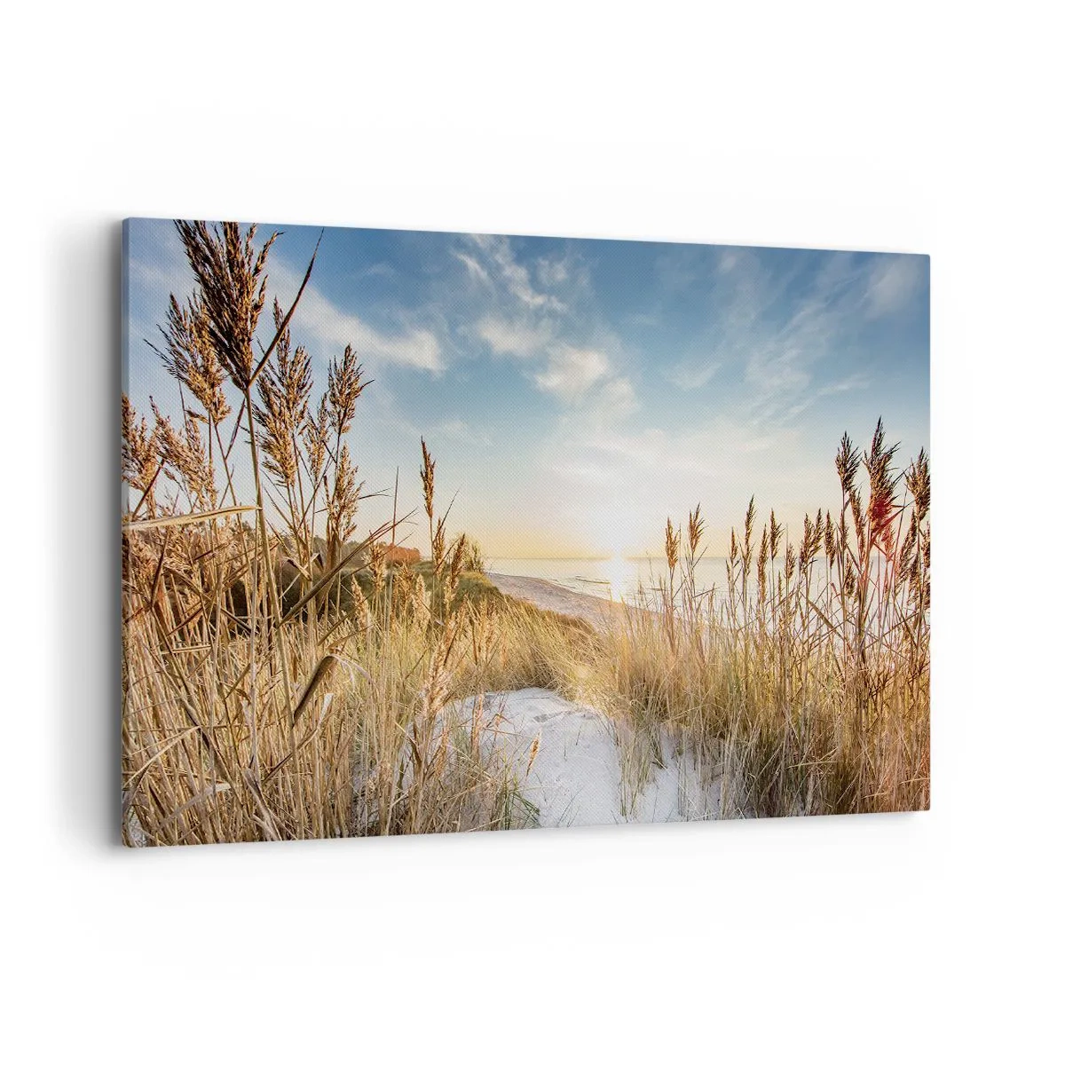 Vászonkép - Északi strand - 120x80 cm