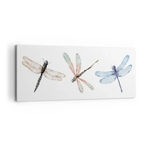 Vászonkép - Súlytalan szitakötők - 120x50 cm