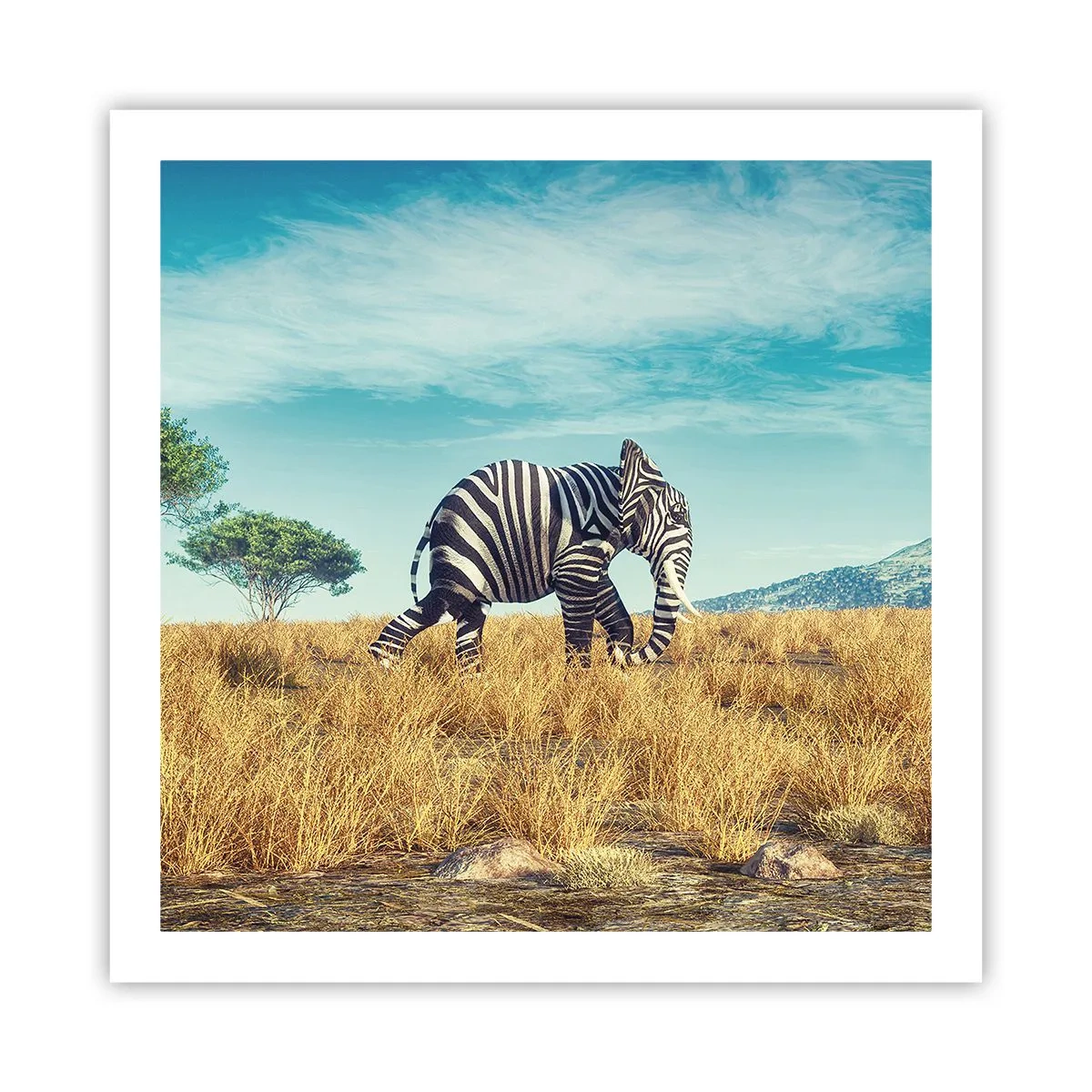 Poszter - A szürke már nem menő - 60x60 cm