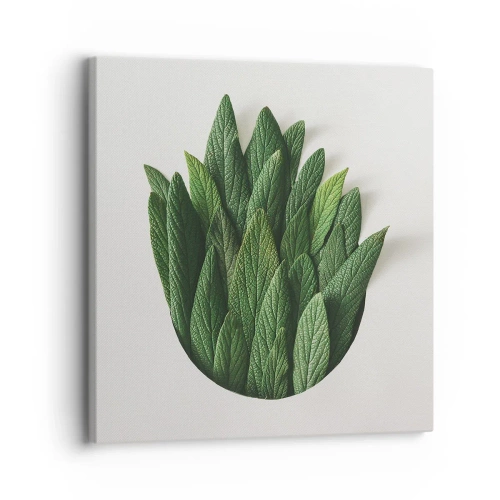 Vászonkép - Féktelen kíváncsiság - 30x30 cm