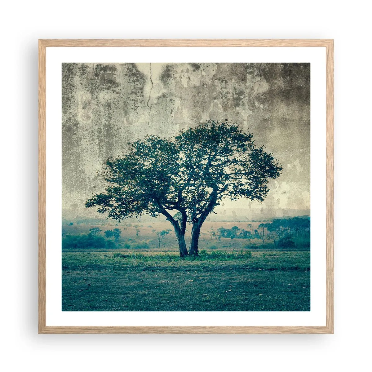Poszter világos tölgy keretben - Almafa a kék mezőn? - 60x60 cm