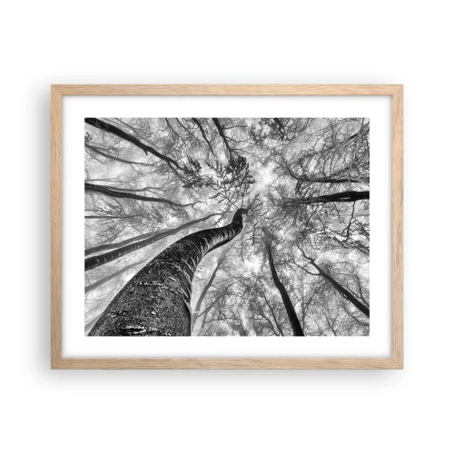 Poszter világos tölgy keretben - Verseny a fény felé - 50x40 cm