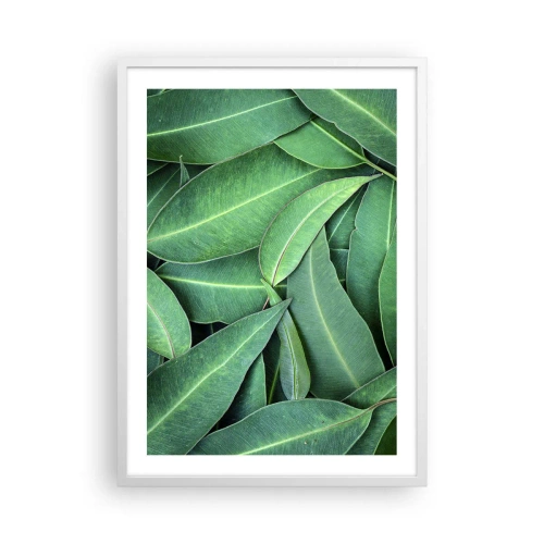 Poszter fekete keretben - Lédús és friss - 50x70 cm