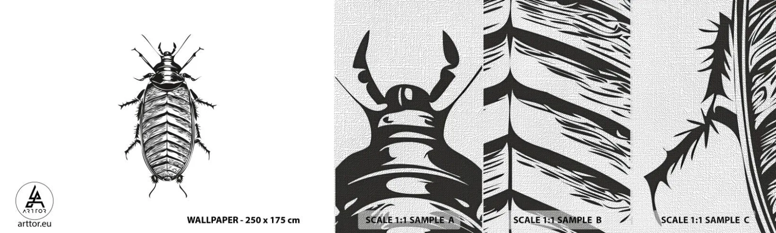 Fotótapéta Minta Premium Canvas - Micsoda példány! - Rovar, Csótány, Minimalizmus - 100x30 cm