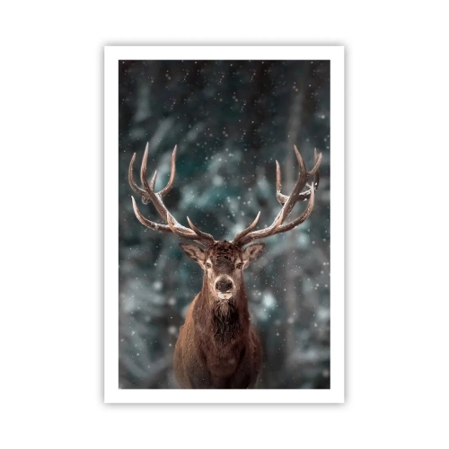 Poszter - Az erdő királya koronázva - 61x91 cm