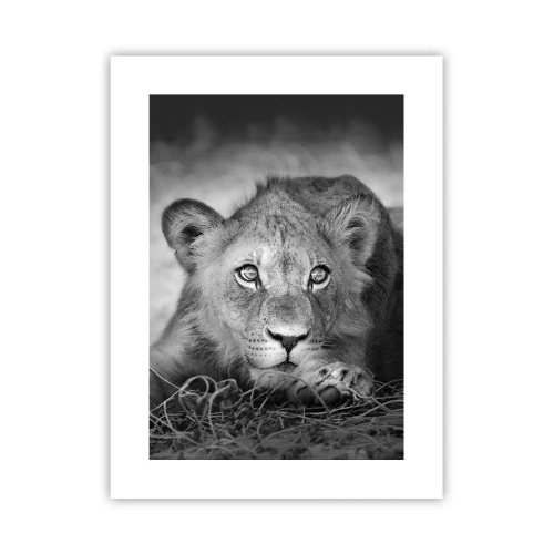 Poszter - Királyi kölyök - 30x40 cm