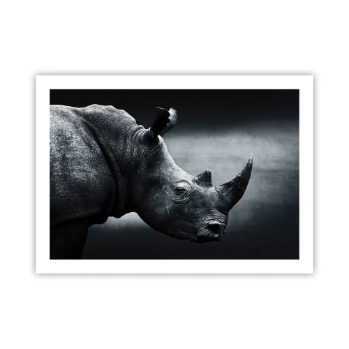 Poszter - Jobb profil - 70x50 cm