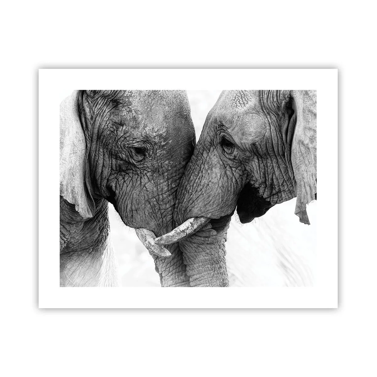 Poszter - Szívélyes vallomás - 50x40 cm