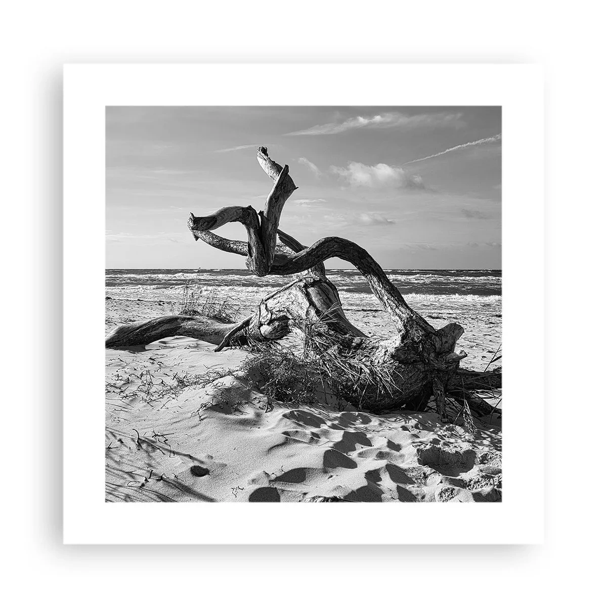 Poszter - Tengeri szobor - 40x40 cm