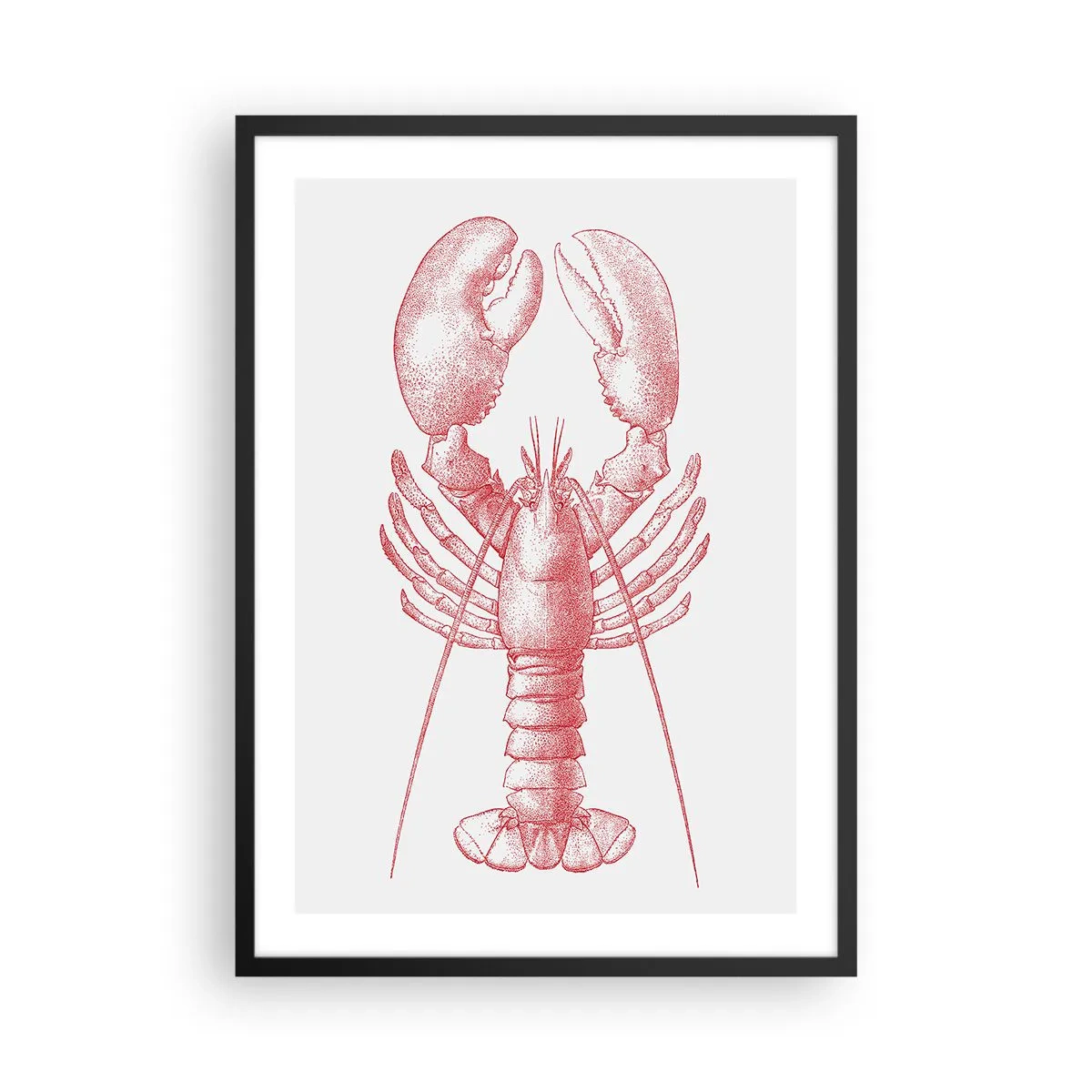 Poszter fehér keretben - Vintage homár rajz világos háttéren - 50x70cm - Homéroszhoz méltó homár - Modern fali dekoráció nappalihoz és hálószobához ARTTOR