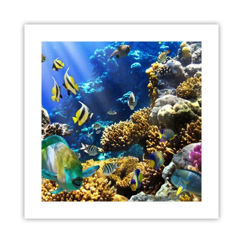 Poszter - Nagy forgalom a nyaraló ösvényen - 40x40 cm