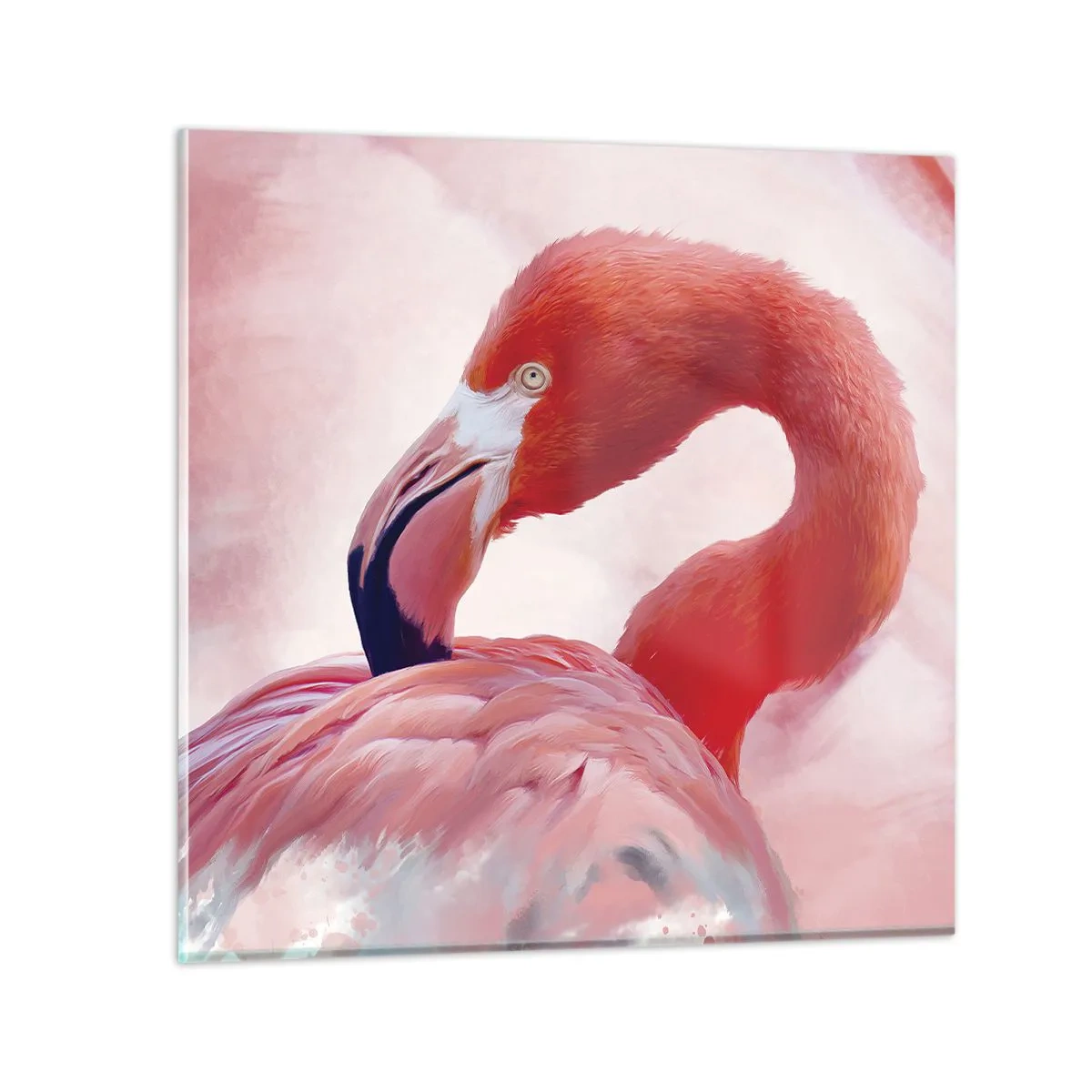 Üveg kép - Madári szépség - 60x60 cm