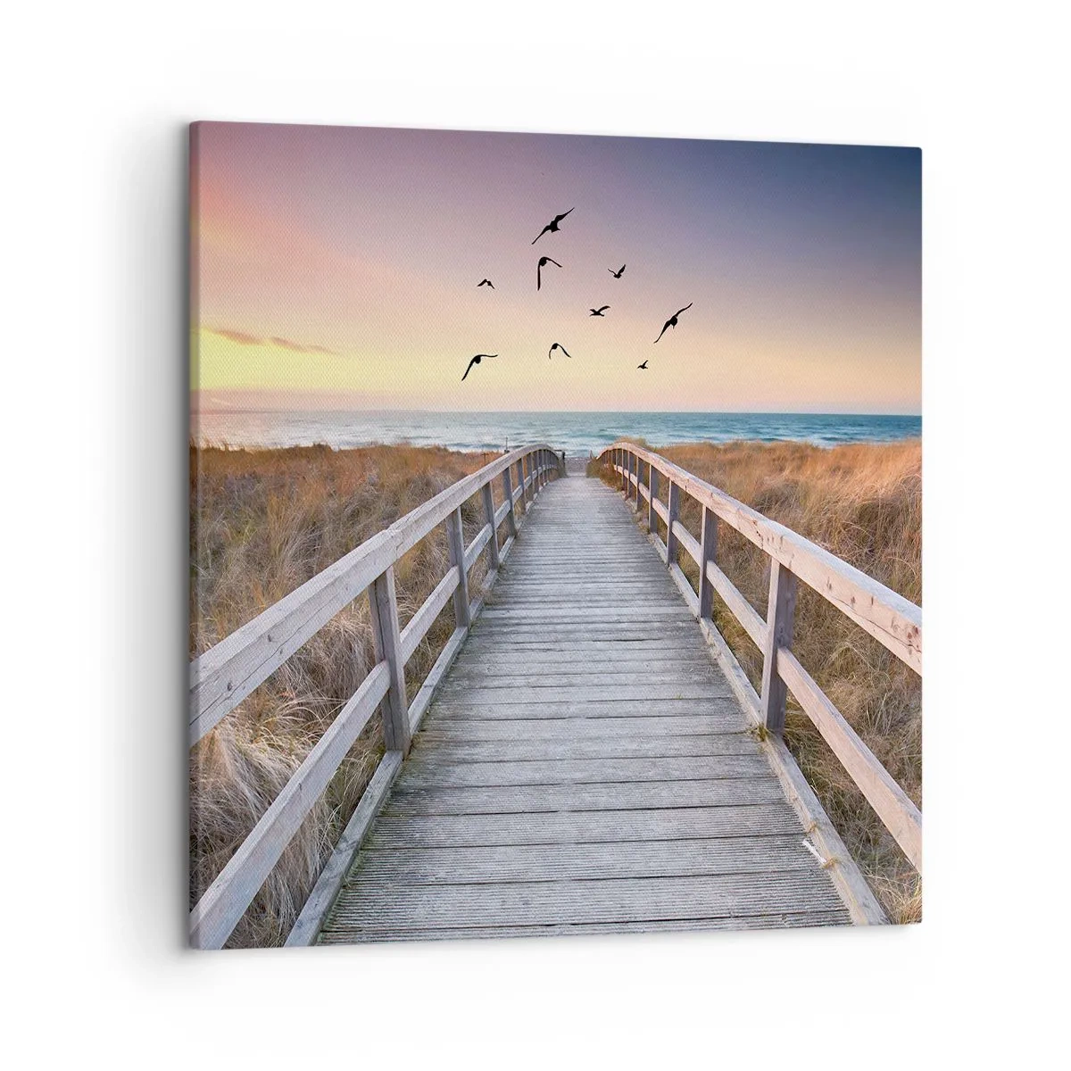 Vászonkép - Repülési tér - 50x50 cm