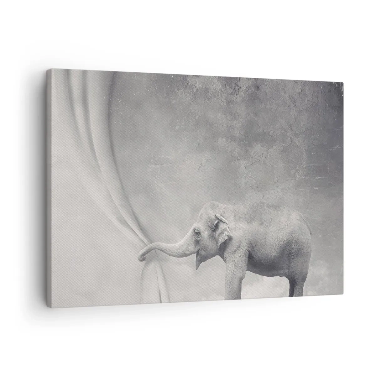 Vászonkép - Egy elefánt húzza el a függönyt egy szürreális fekete-fehér felvételen - 70x50cm - Feltárni a titkot - Modern fali dekoráció nappalihoz és hálószobához ARTTOR