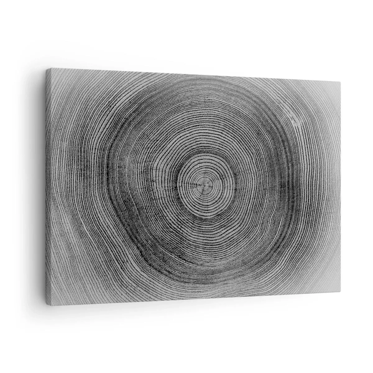 Vászonkép - Fekete-fehér fagyűrűmintázat, amely a törzs keresztmetszetét mutatja - 70x50cm - Az idők jele - Modern fali dekoráció nappalihoz és hálószobához ARTTOR