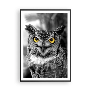 Poszter fehér keretben - Semmi sem fog elbújni - 70x100 cm