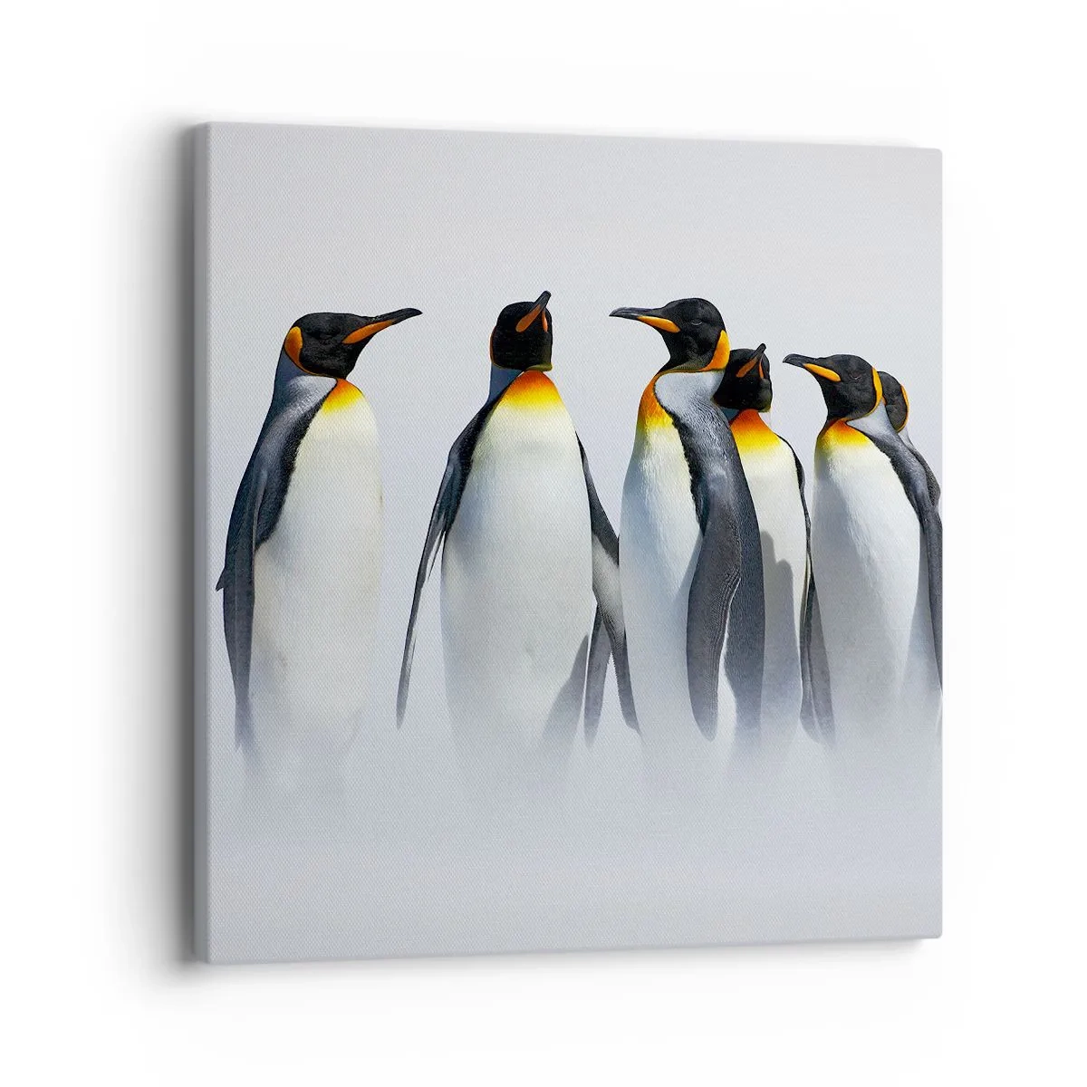 Vászonkép - Találkozás éjszakai ruhában - 40x40 cm