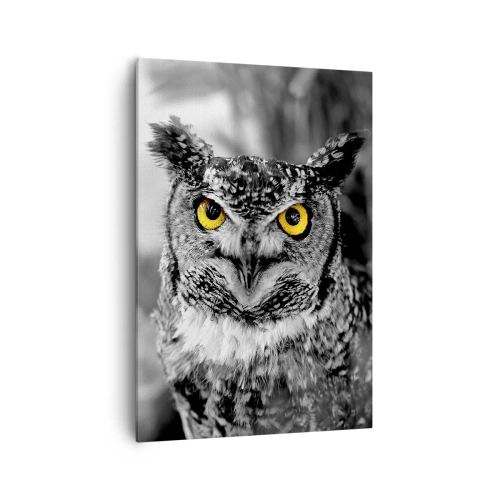 Vászonkép - Semmi sem fog elbújni - 70x100 cm