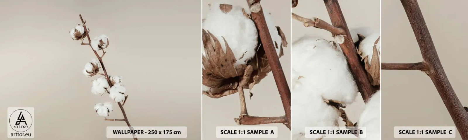 Fotótapéta Minta Standard Eco - A puhaság forrásánál - Pamut Virág, Természet, Pamut - 100x30 cm