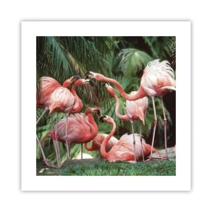 Poszter - Délutáni pletyka - 40x40 cm