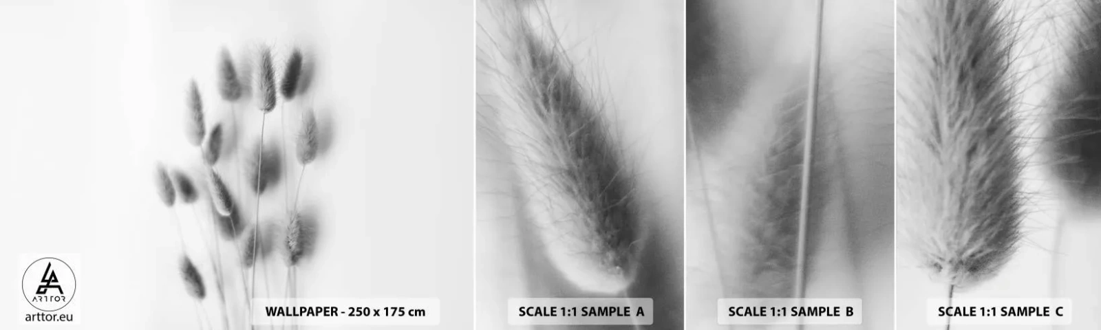 Fotótapéta Minta Öntapadós Deluxe Sticker - A bolyhos fű - Fű, Fekete és fehér, Virágok - 100x30 cm