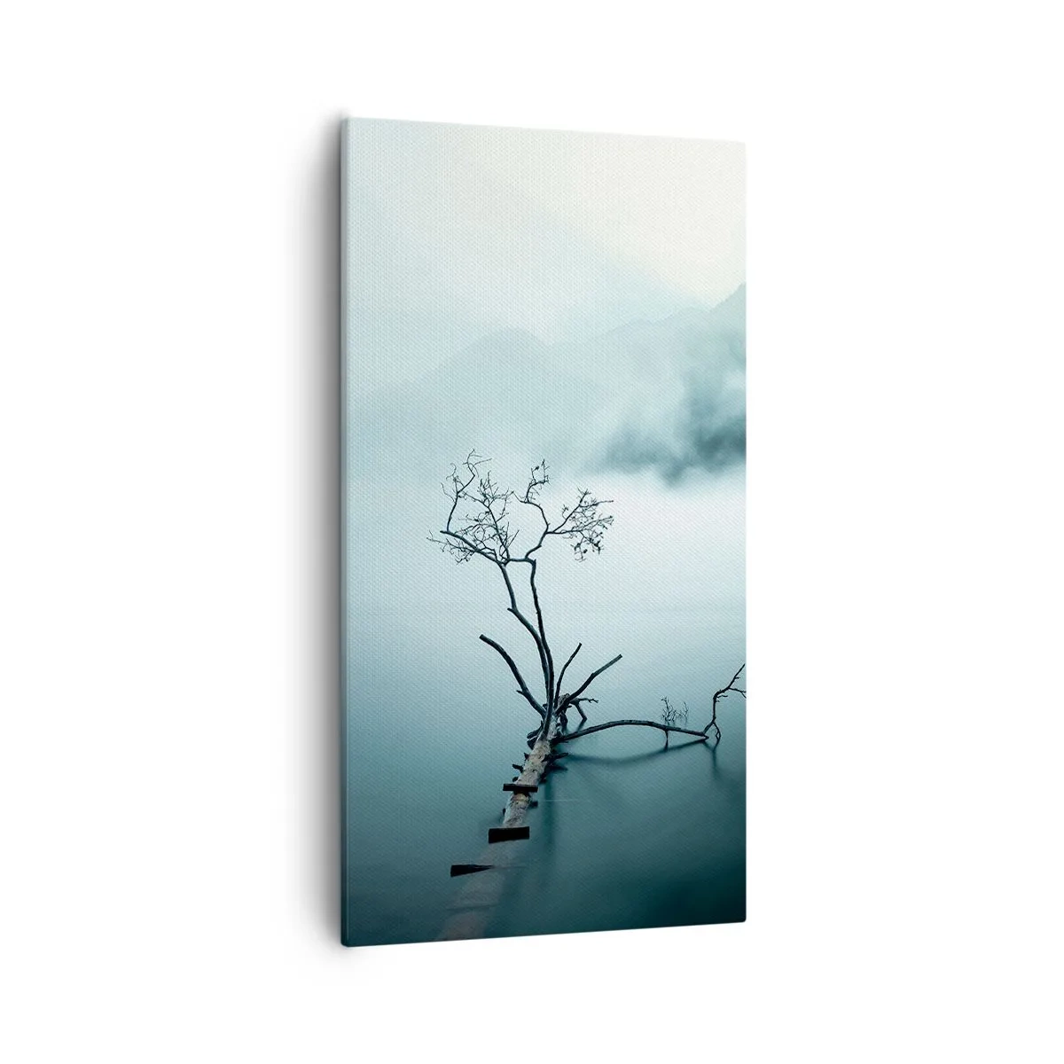 Vászonkép - Vízből és ködből - 55x100 cm