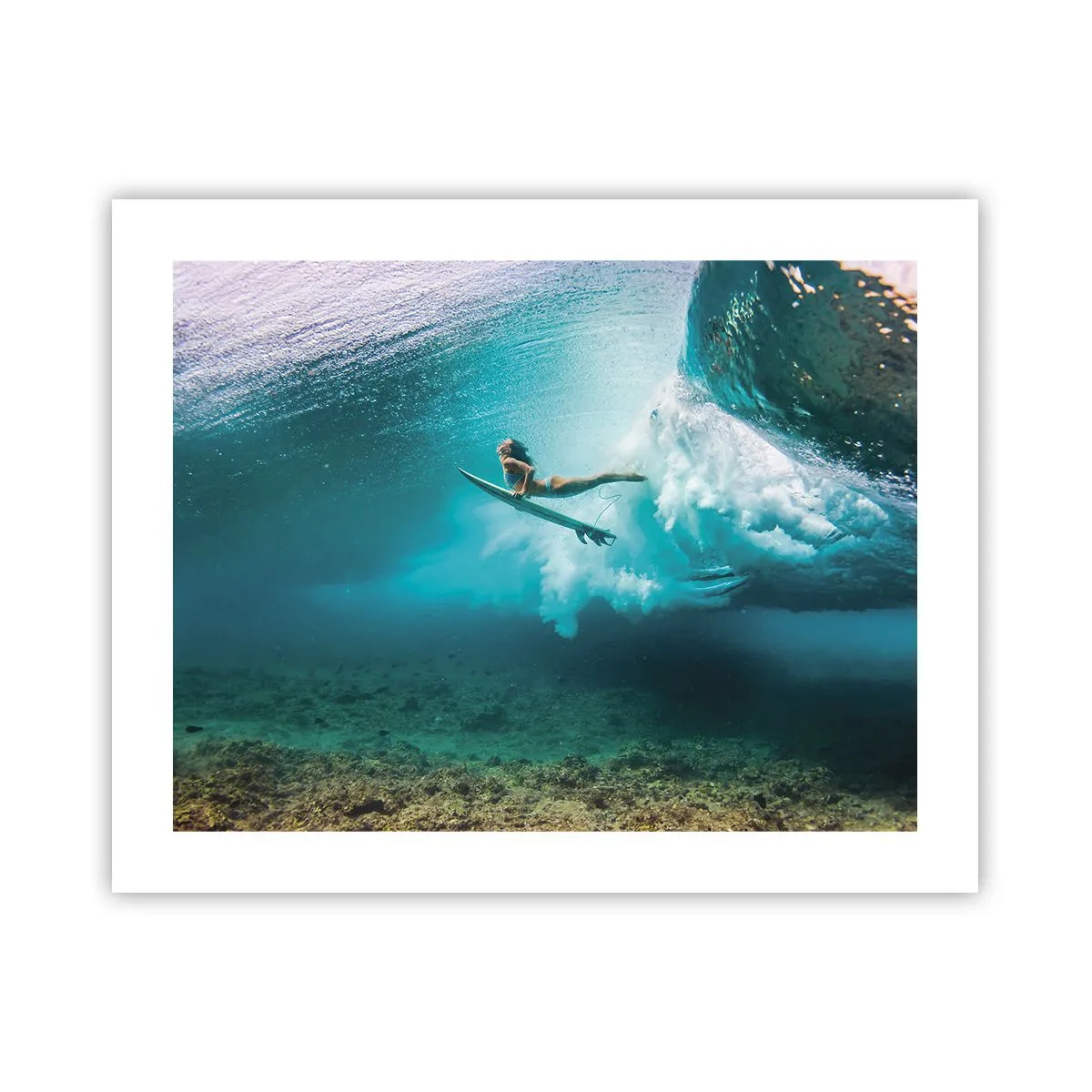 Poszter - Vízalatti világ - 50x40 cm