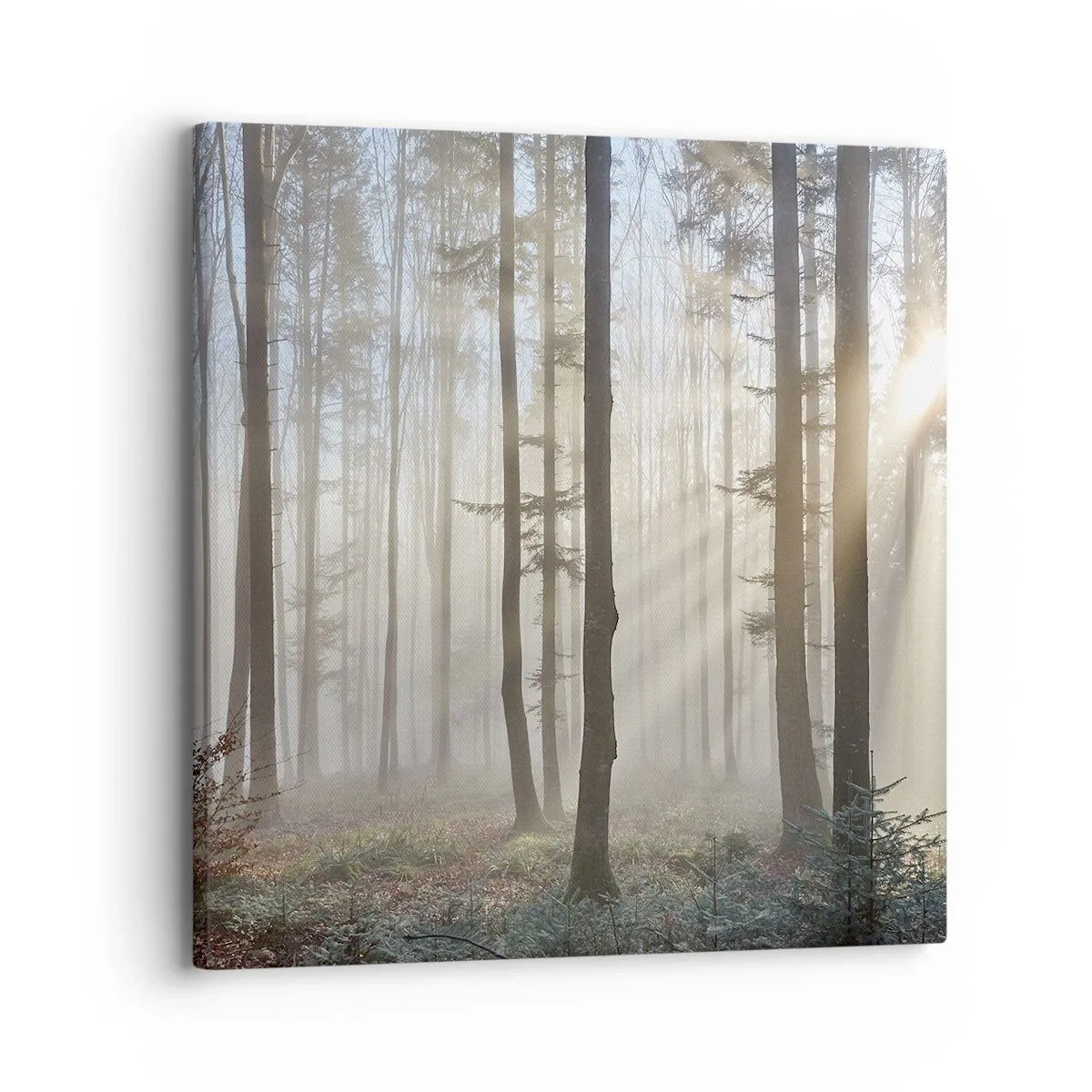 Vászonkép - A köd is felébredt - 30x30 cm