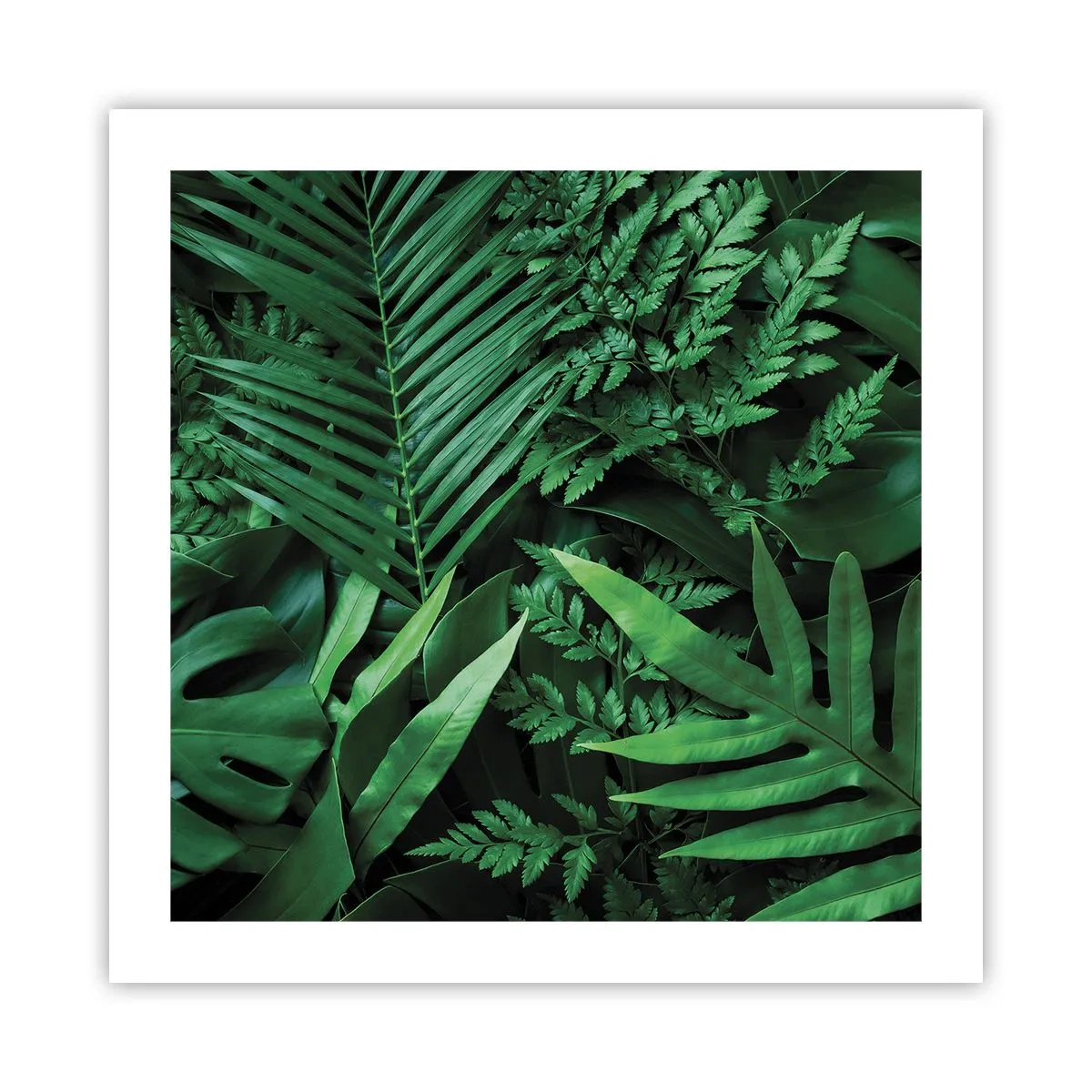 Poszter - Összebújva a zöldben - 50x50 cm