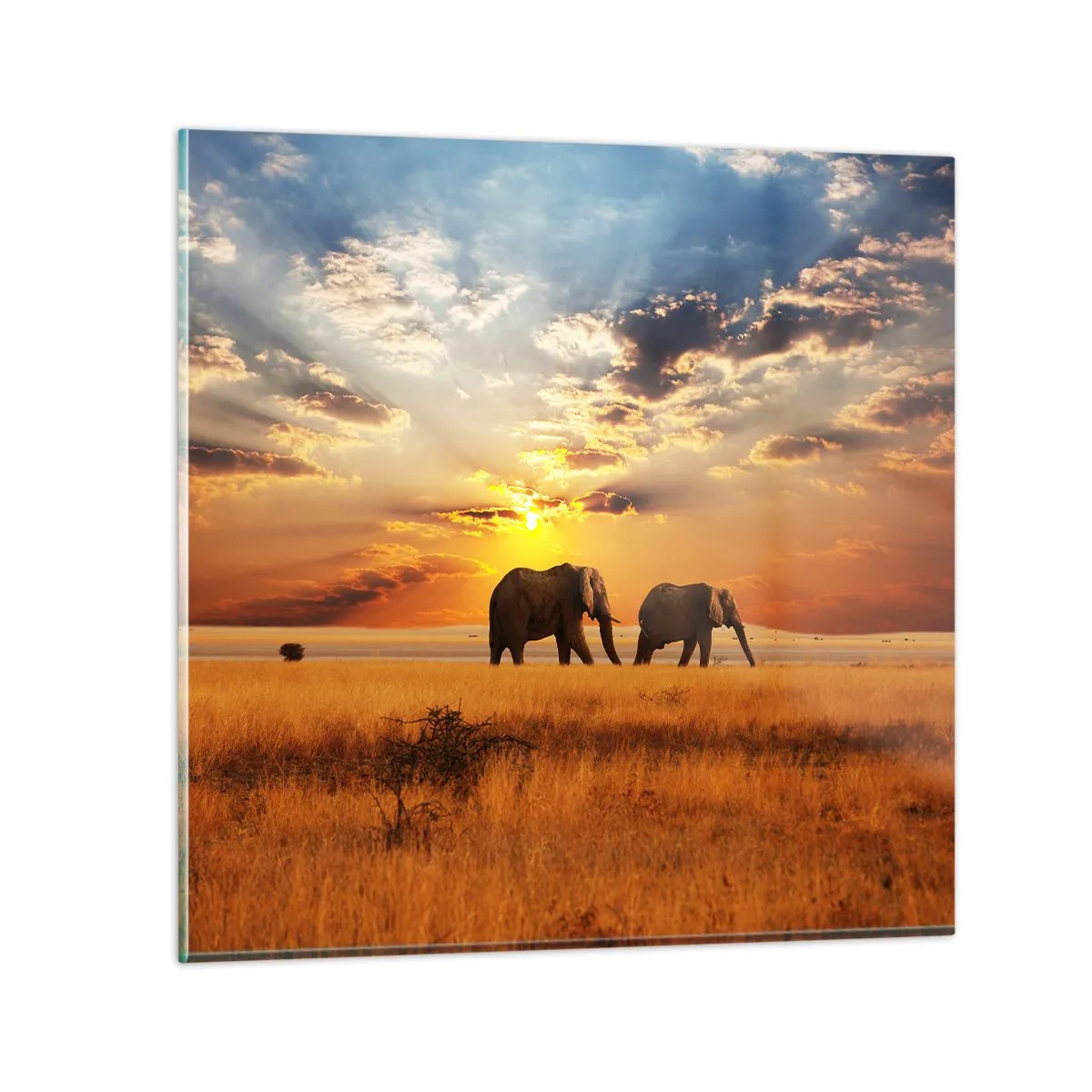 Üveg kép - Családi séta - 40x40 cm