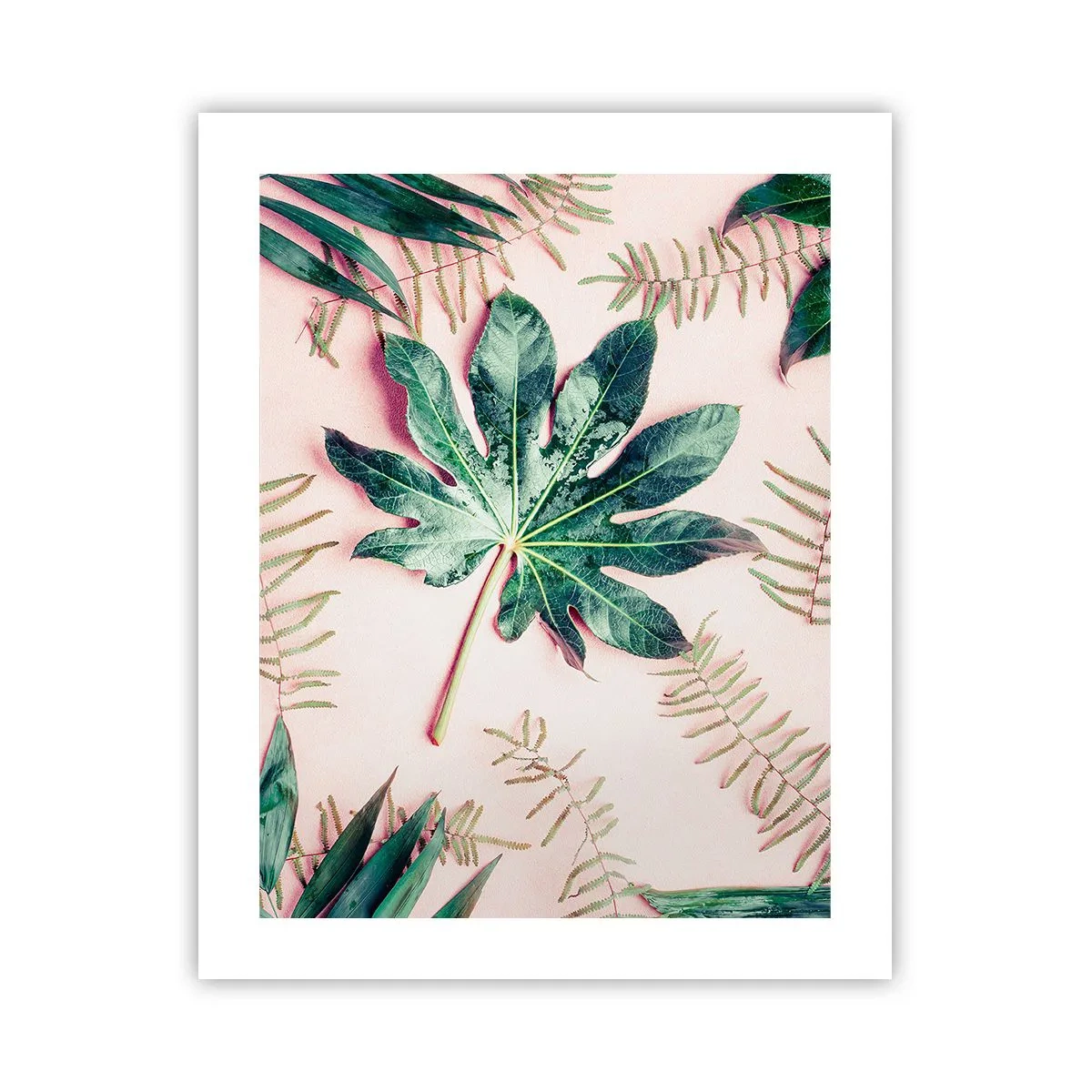 Poszter - A zöld tanulmánya a rózsaszín háttérben - 40x50 cm