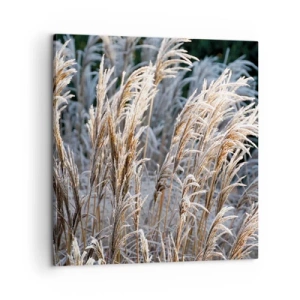 Vászonkép - Zúzmarába öltözött - 60x60 cm