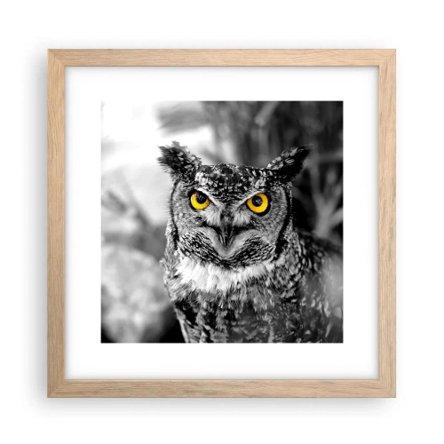 Poszter világos tölgy keretben - Semmi sem fog elbújni - 30x30 cm