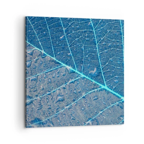 Vászonkép - Az élet kékben - 60x60 cm