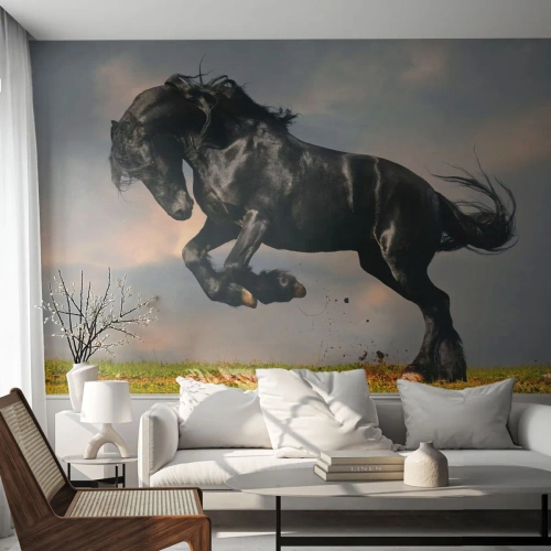 Fotótapéta Premium Sand - Gyönyörű és szabad - Állatok, Ló, Tájkép - 100x70 cm
