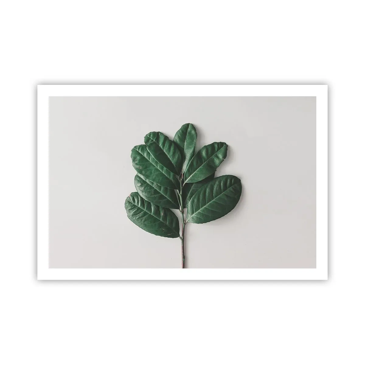 Poszter - Rajz csak a természetről - 91x61 cm