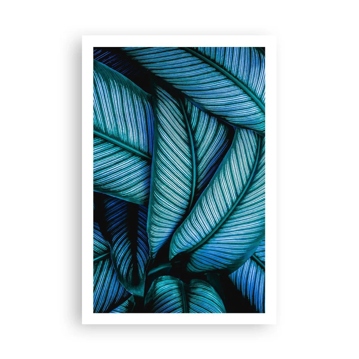 Poszter - Életvonalak - 61x91 cm