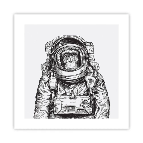 Poszter - Alternatív evolúció - 40x40 cm