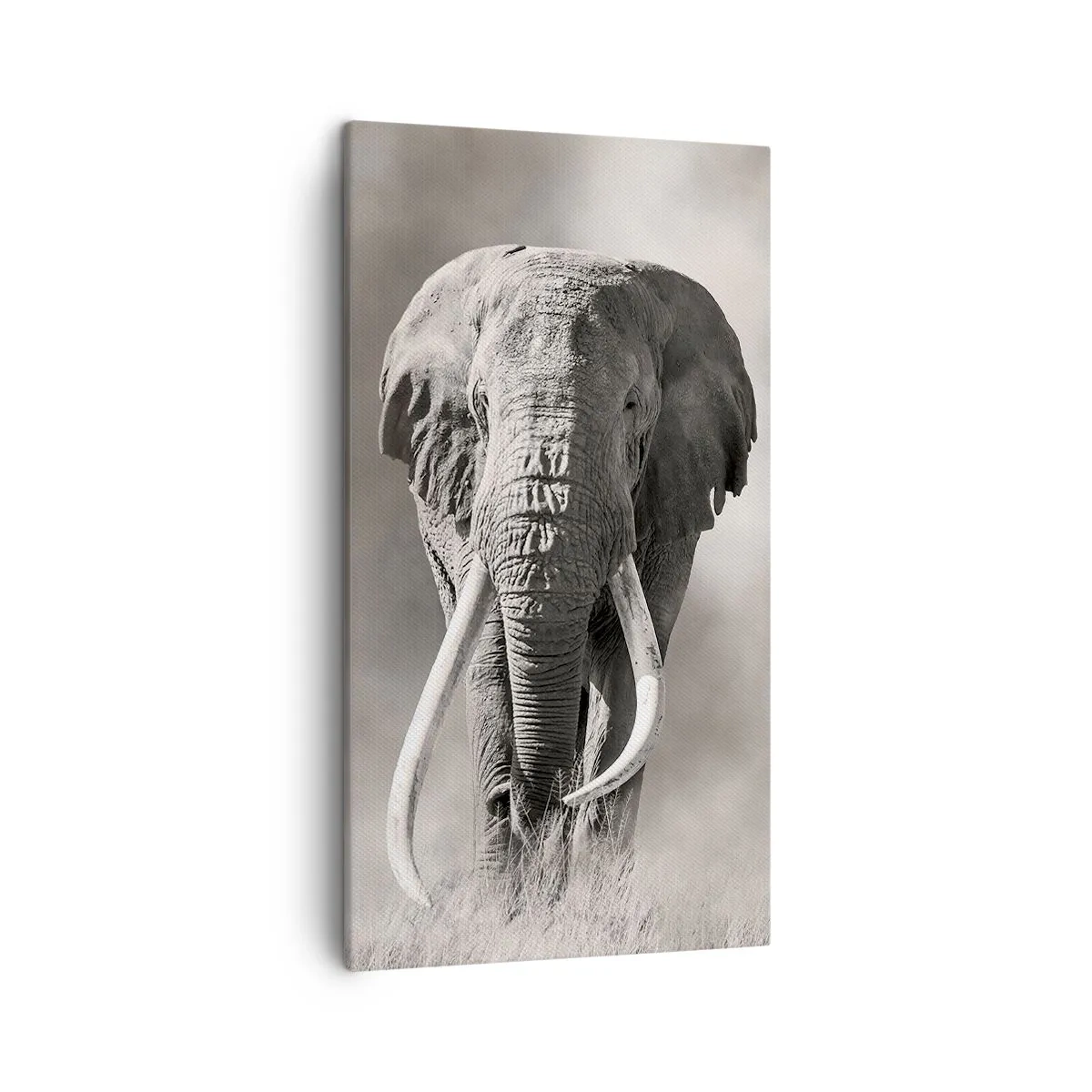 Vászonkép - Afrikai patriarcha - 45x80 cm