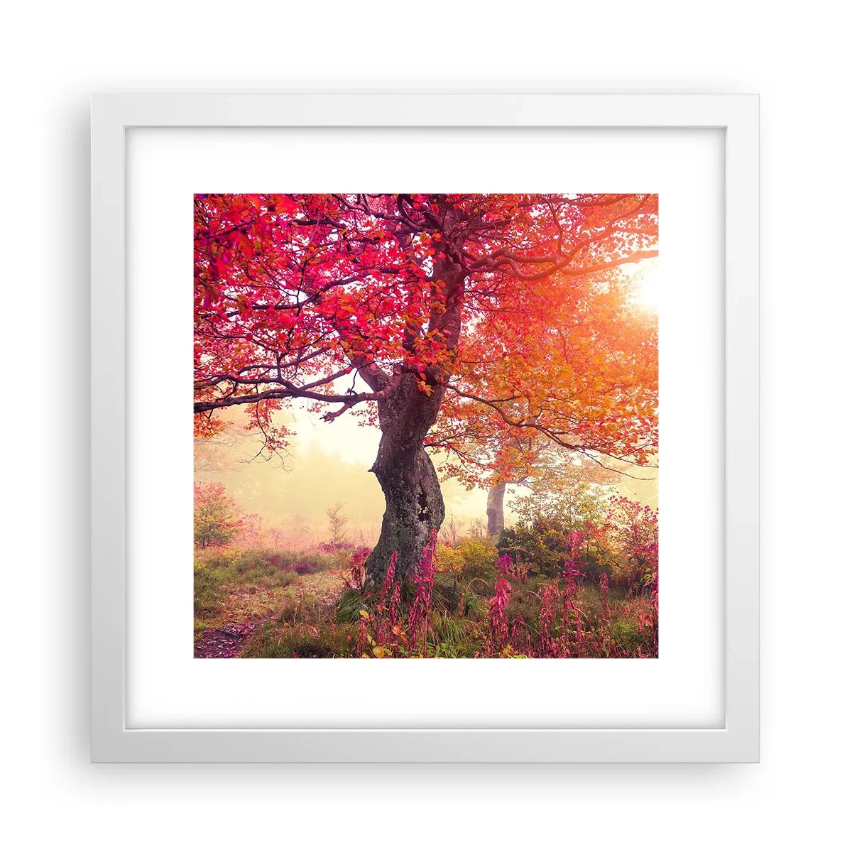 Poszter fekete keretben - Virágzás őrülete - 30x30 cm